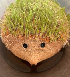 Great Minds Early Childhood Center & Nursery